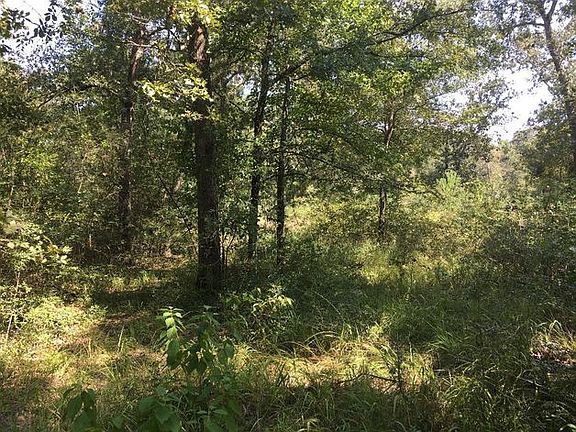 3rd image of 737 County Road 4030