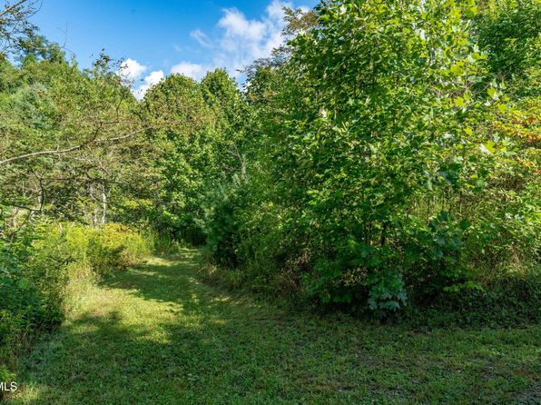 306 Bear Branch Rd, Roan Mountain, TN 37687