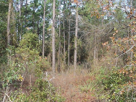 4th image of 0 Marion Oaks Trl #39