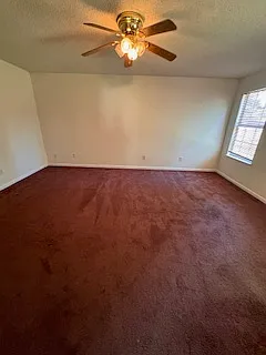 219 Pineclave Cir — Photo 10
