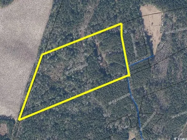 TBD Thatchpalm Ct., Georgetown, SC 29440