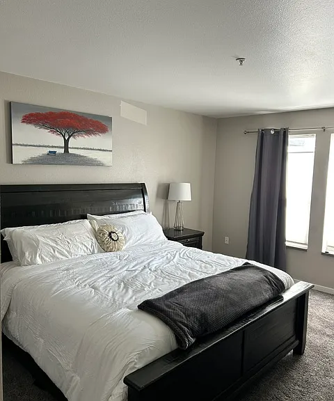 Master Bedroom King Bed