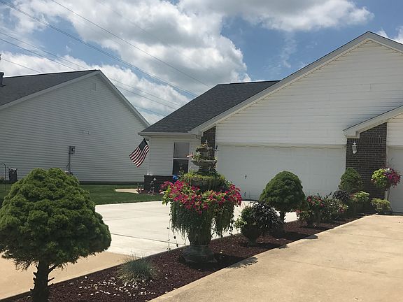 Shared Shrubs btw drvwy