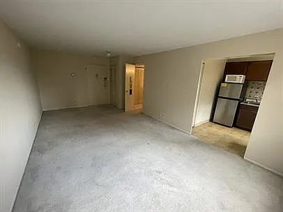 Studio, 418 sqft, $1,295 — Photo 4