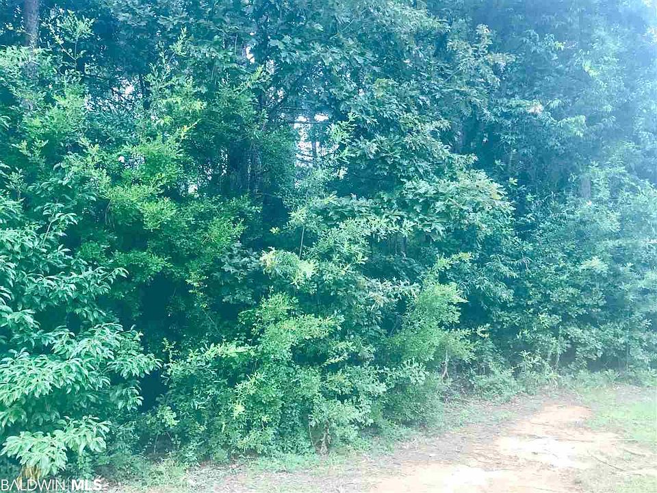 2nd image of 124 Meadow Wood Loop
