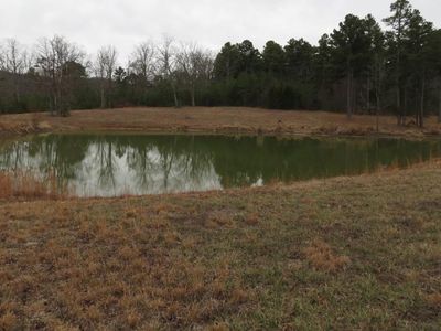 55 County Road 55, Belleview, MO, 63623