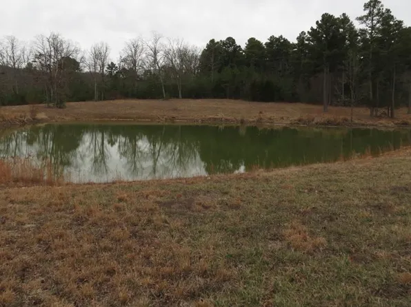55 County Road 55, Belleview, MO 63623