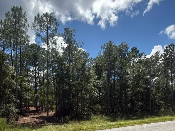 0 Fountain Rd, Eastman, GA 31023