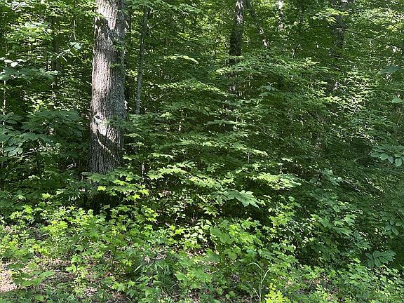 3rd image of LOT 419 Grabber Ln