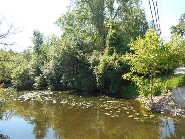 2nd image of 35413 N Shoreline Dr