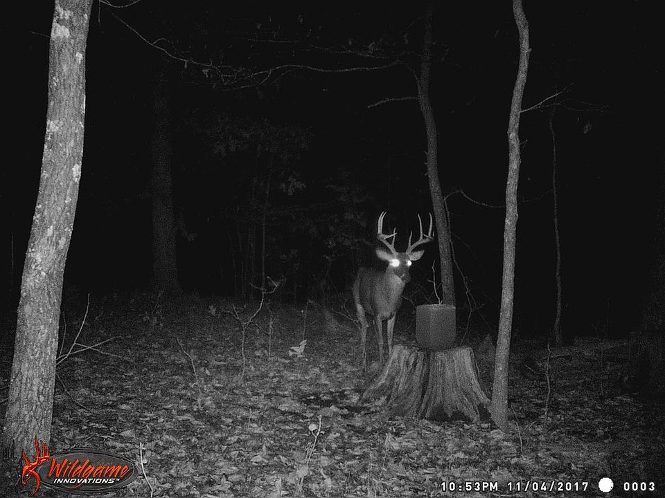 2nd image of 7 Mile Ridge Rd