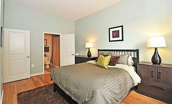 4th image of 820 N Pollard St APT 101
