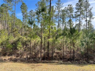 97 Draytons Way, White Oak, GA, 31568