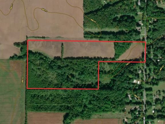 Untitled Presentation 4