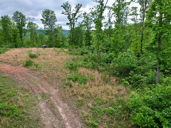 4th image of 22 Buck Run Ridge Rd