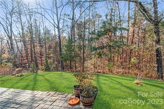 10553 Gold Pan Rd — Photo 5