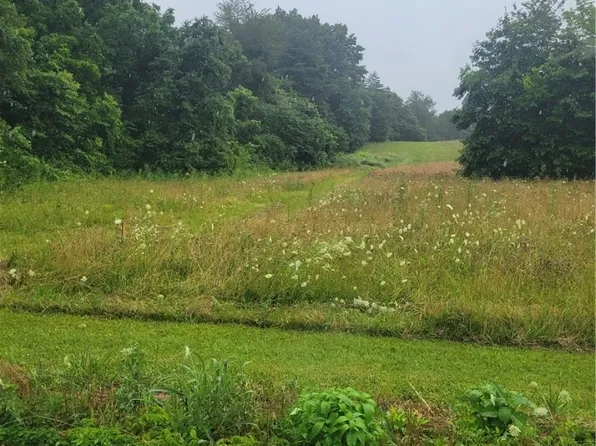 Leon Prall Road, Otisco, IN 47163