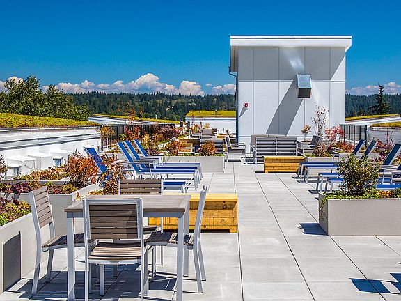 Rooftop terrace with BBQ area, fire pit and sitting areas.