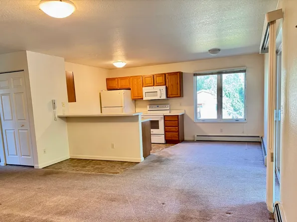 202 12th St #204, Carbondale, CO 81623