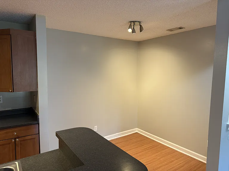 430 Delaware Ave #214 — Photo 3