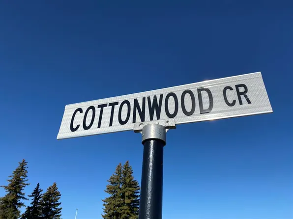 19 Cottonwood Cres, Rosemary, AB T0J 2W0