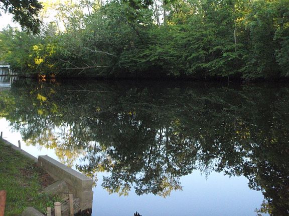 Fish from your backyard