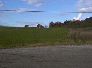 17042 Walkowe Ln, Manchester, MI 48158