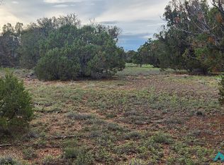 115 Cimarron Dr #96, Quemado, NM 87829