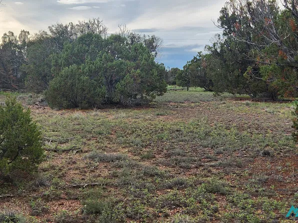 115 Cimarron Dr #96, Quemado, NM 87829