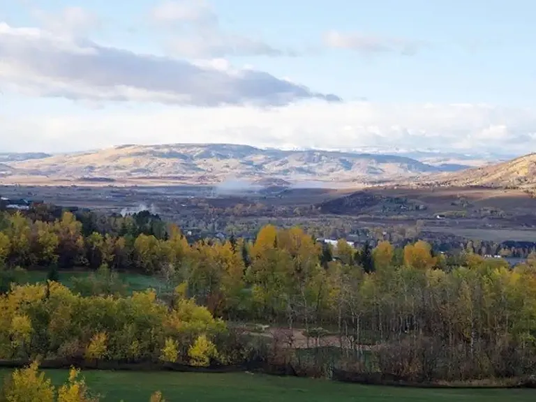 View from Home