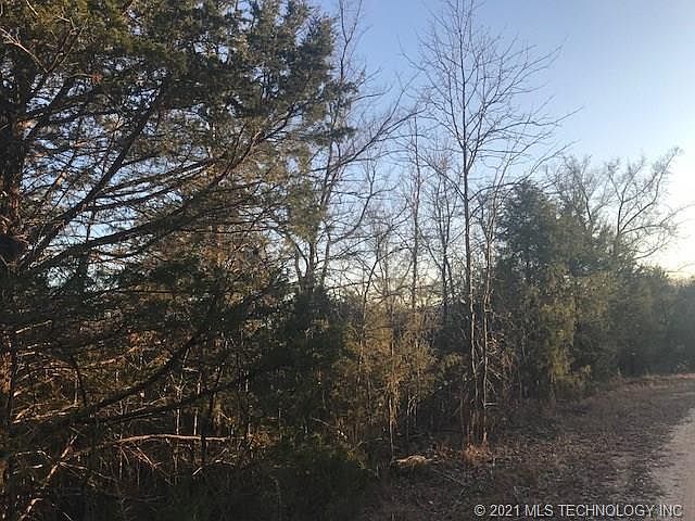 2nd image of Mule Shoe Ln