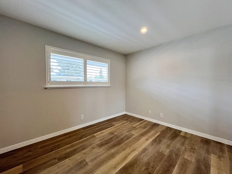 Pine, 1782* — Photo 14