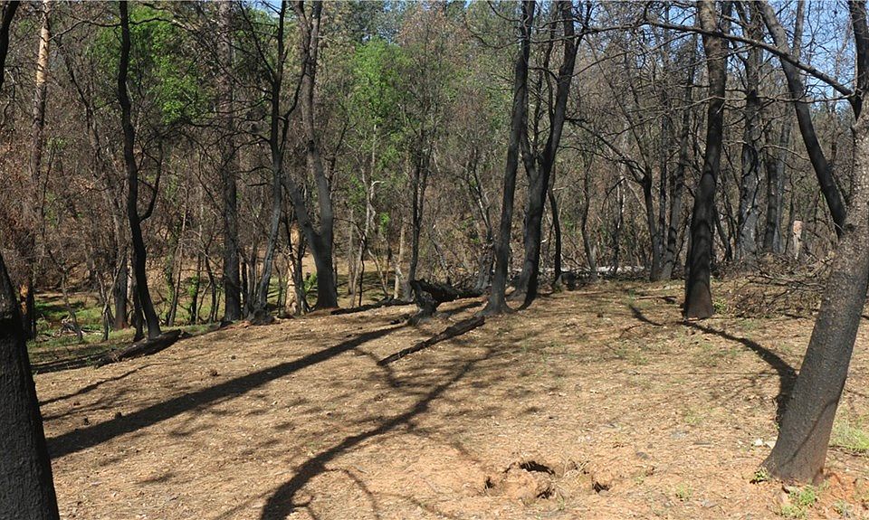 1st image of 6303 Lilliput Ln