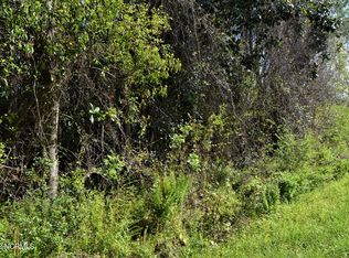 42 Raymond Williams Rd, Rocky Pt, NC 28457