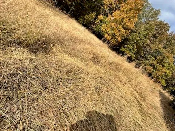 1000 Crow, Batesville, AR 72501