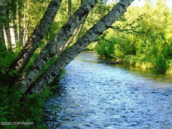 Township Road A Mile #93, Talkeetna, AK 99676