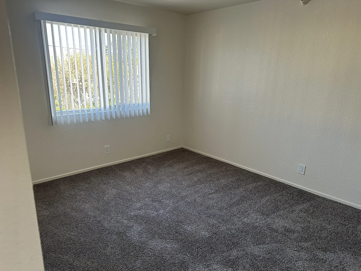 2 bed, 800 sqft, $2,700 — Photo 4