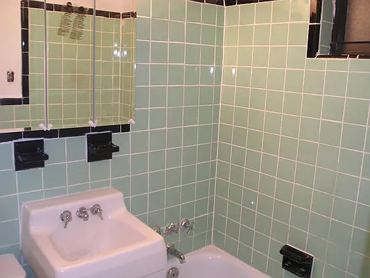 Rented by Eric Goodman Realty Corp | media 15