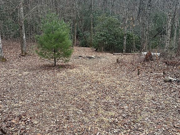 3rd image of 322 Leafy Knoll Circle