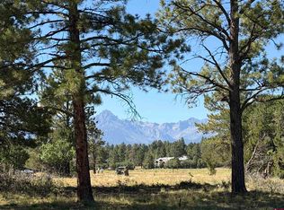 1761 Marmot Dr, Ridgway, CO 81432