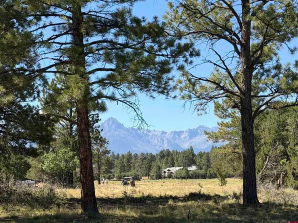 1761 (lot-V321) Marmot Drive, Ridgway, CO 81432