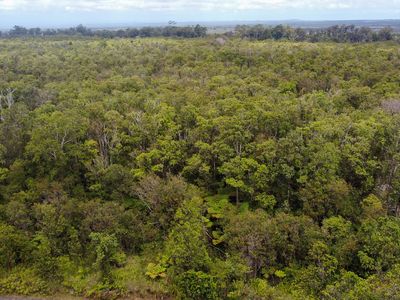 Road 9, Volcano, HI, 96785