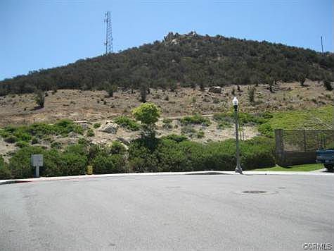 3rd image of 27811 Bottle Brush Way