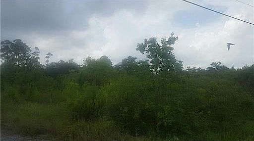 5th image of 301 Parkview Ln