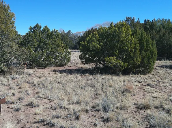 Concho Valley Dr #1, Concho, AZ 85924