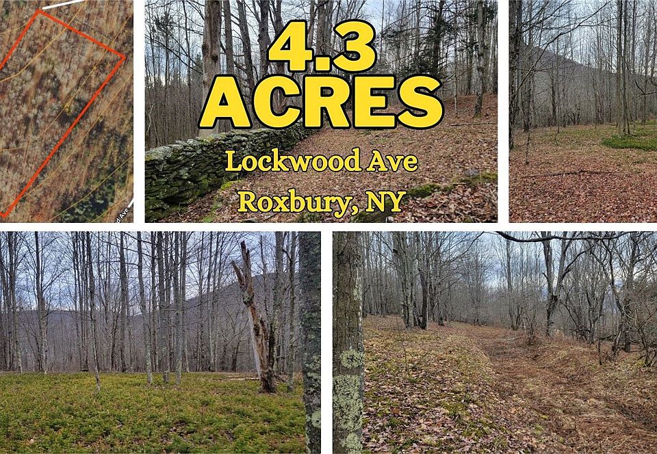 5 Lockwood Ave, Roxbury, NY 12474 Zillow