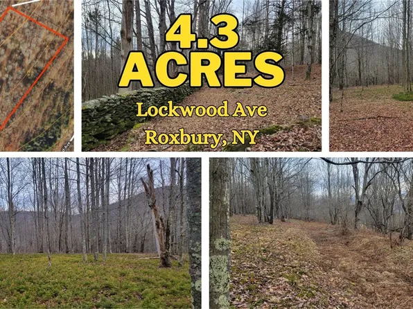 5 Lockwood Ave, Roxbury, NY 12474