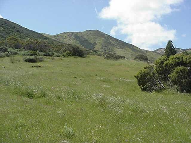 1st image of Quail Haven Ln