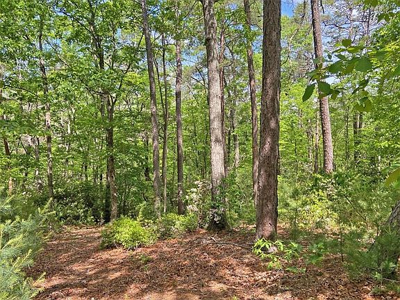 5th image of 105AC Jack Walker Rd #10.5
