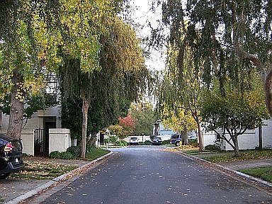 Street